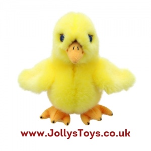 Wilberry Chick Soft Toy